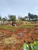 Residential Land at Runda Garden