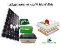 solar fullkit 250watts plus 56eggs incubator