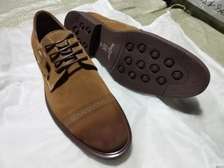 John Foster Laced Premium Suede Leather Brown Official Shoes