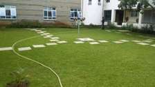 Landscaping  services