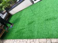 green pet driendly grass