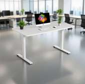 Standing Desk; 120cm Electric Office Standing Desk