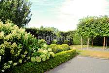 Lower Kabete Landscaping & Grounds Maintenance Experts