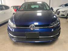 Volkswagen variant