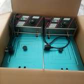 Redberry fryer
