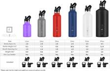 Steel Insulated Water Bottle with Straw