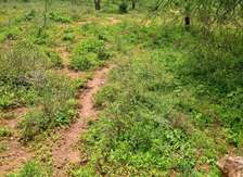 165 Acres Available For Sale In Machakos Kithyoko Region