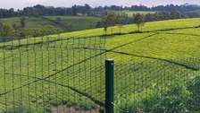 Clearview Fencing in Kenya - Anti-climb supply only
