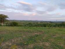 Quarter Acre of Land For Sale Mamba, Kilifi