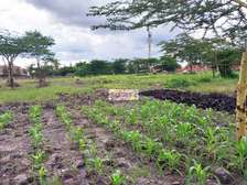 5 ac Commercial Land in South B