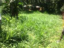 0.41 Acres prime Land For Sale in Malava, Kakamega County