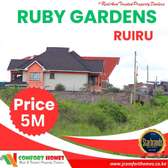 Prime plots for sale in Ruiru