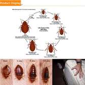 Bedbugs control solution