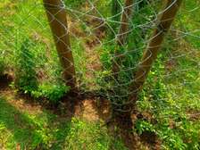 1,000 m² Residential Land at Bondeni Area