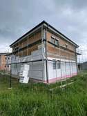Scaffolding frame