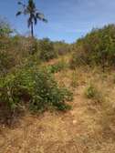 17 Acres in Malindi Gede Is Available For Sale
