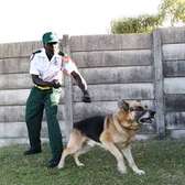Professional Security Guard Services in Kiambu,Kabete