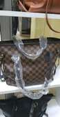 Louis Vuitton handbag with purse