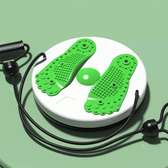 Yoga Twist Disc Plate