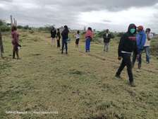 affordable 50 by 100 land for sale in Lenchani, Kitengela