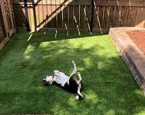 artificial turf grass carpets