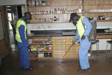 Bed Bug Control & Eradication Specialists Nairobi