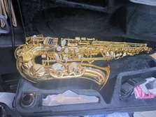 Saxophone Alto Doré Brillant avec Étui et Accessoires