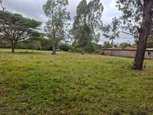 Prime One (1) Acre Land in Karen