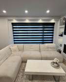 zebra blinds