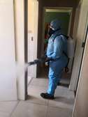 Pest Control and Fumigation Services Parklands