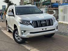 Make Toyota Land cruiser Prado TX white color 2020 model