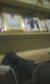 Events,,,,, birthdays, ruracio,school fun days, get together...