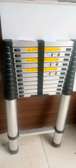 Telescopic ladder