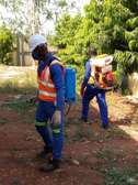 Pest Control and Fumigation Services at Dohnholm