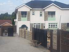 Amazing 4 BR Houses in Ngong