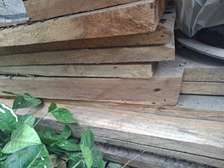 Muringa/ Moringa hardwood timber & beams