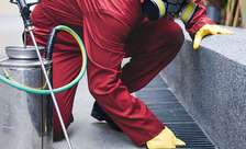 Top Bed Bug Fumigation | Kinoo, Uthiru, Kikuyu Areas