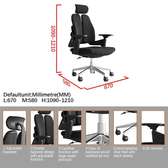 Dual-Back Orthopedic Office Chair