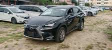 LEXUS NX300,2019 MODEL