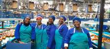 Staff Outsourcing Services Kenya | Bestcare