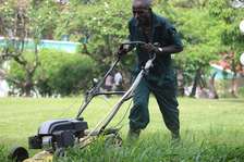 Lawn Mowing And Garden Services | Request your free, no-obligation grass cutting quotation now