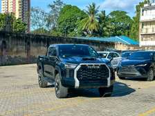 Toyota Pickup Truck Black Double Cab Powerful