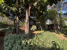 4 Bed House with En Suite in Muthaiga