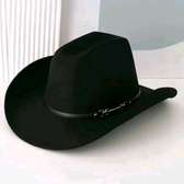 Fashion cowboy hat