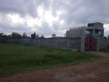 RUIRU-MUGUTHA RESIDENTIAL PRIME PLOTS FOR SALE