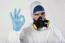 Bedbugs removal/cockroches solutions