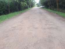Prime One and Half ( 1.5 ) Acre Land in Karen