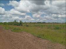 Distress Sale | Two 50x100 Plots in Kantafu, 750k Both
