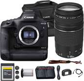 Canon EOS-1D X Mark III DSLR