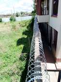 450 mm Double Galvanized Razor Wire Supplier in Kenya